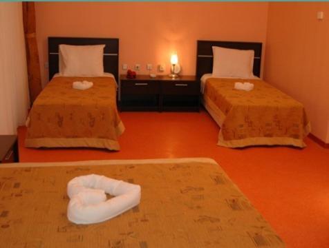 Bato Thermal Hotel Batman Room photo